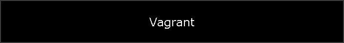 Vagrant